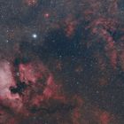 NGC 7000 & Friends