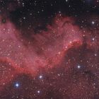 NGC 7000 in neuen Farben