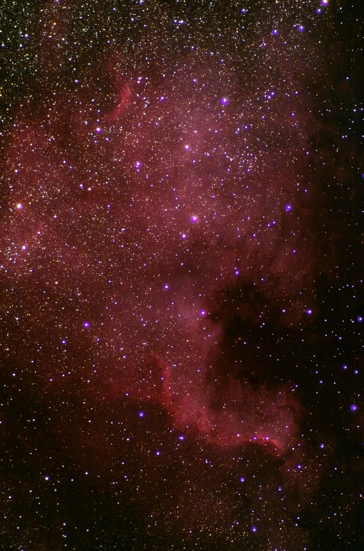 NGC 7000 - Nordamerikanebel 