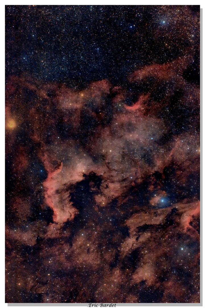 NGC 7000 North America
