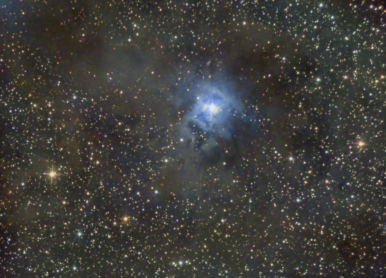 NGC 7023