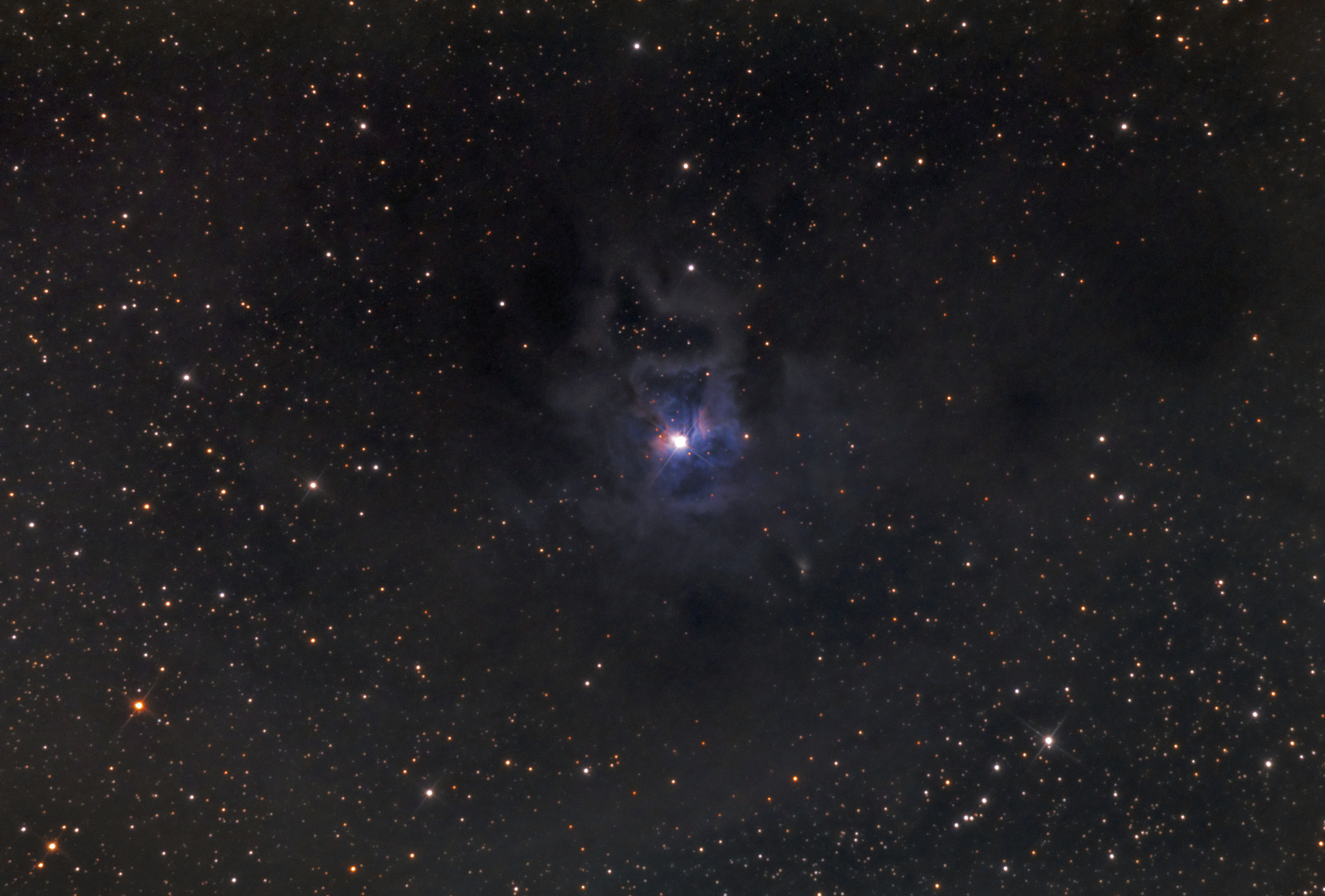 NGC 7023 - Der Iris Nebel