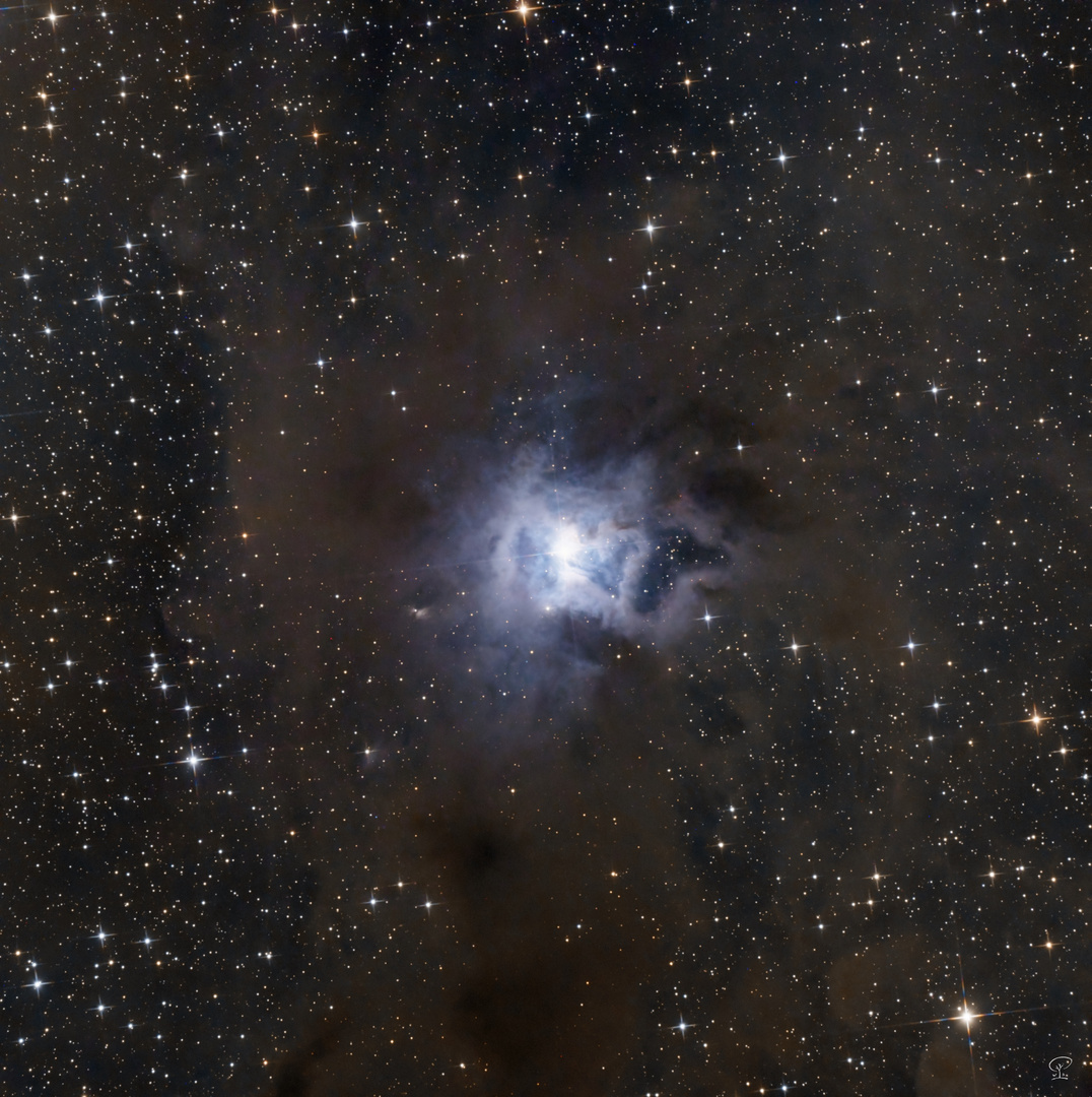 NGC 7023, der Irisnebel - eine blaue Blume im Staub