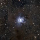 NGC 7023, der Irisnebel - eine blaue Blume im Staub