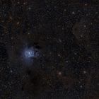 NGC 7023 - Iris Nebel Widefield - Überarbeitung in Pixinsight