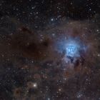 NGC 7023 - Irisnebel