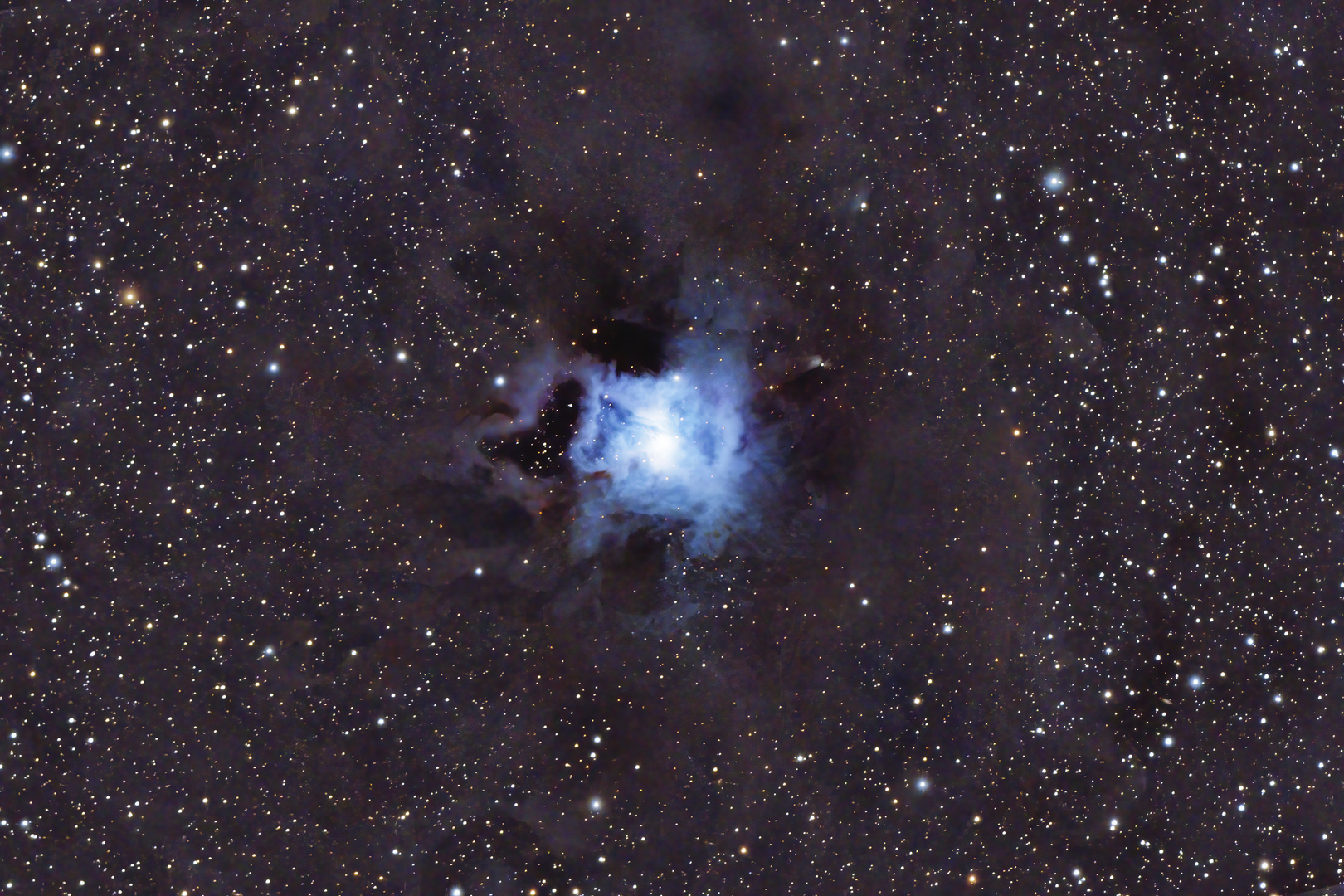 NGC 7023 - Irisnebel