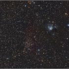 NGC 7129 & NGC 7142