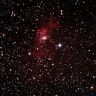 NGC 7635 Bubble Nebel