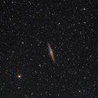 NGC 891