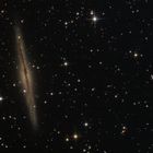 NGC 891 