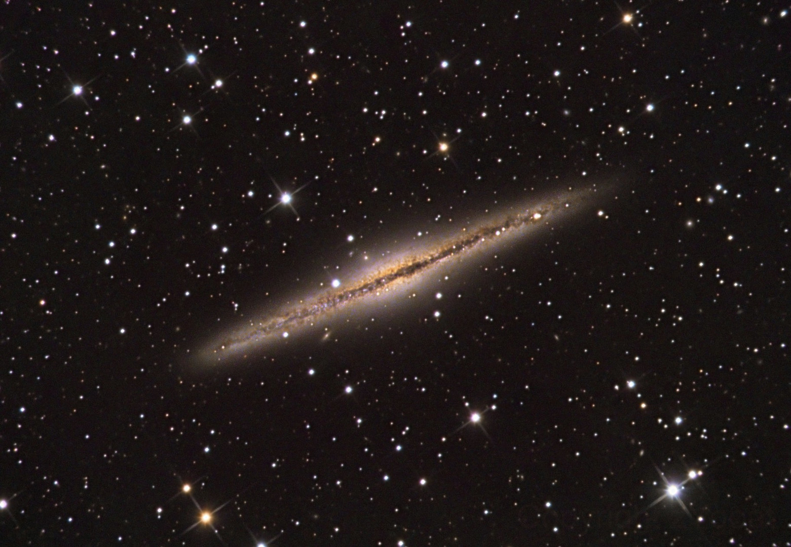 NGC 891