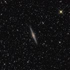 NGC 891 - eine Spirale von der Kante