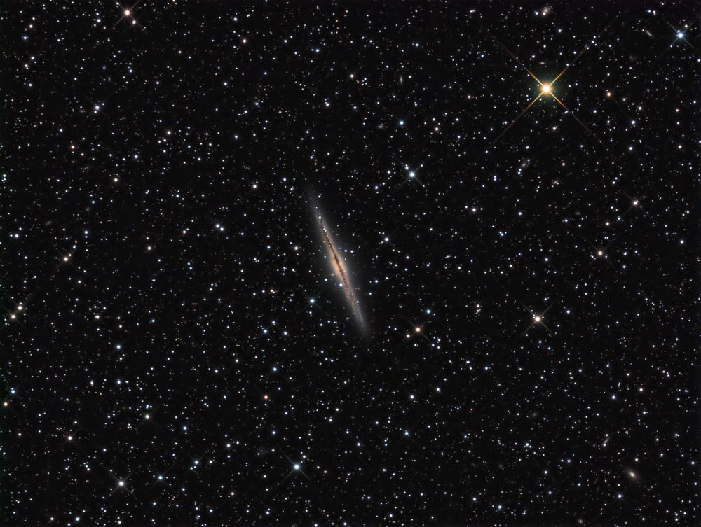 NGC 891 - eine Spirale von der Kante