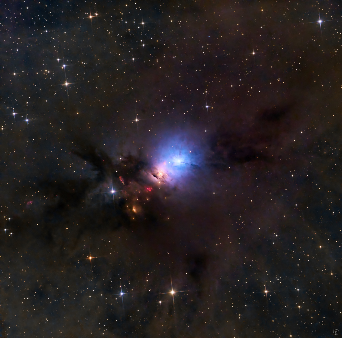 NGC1333