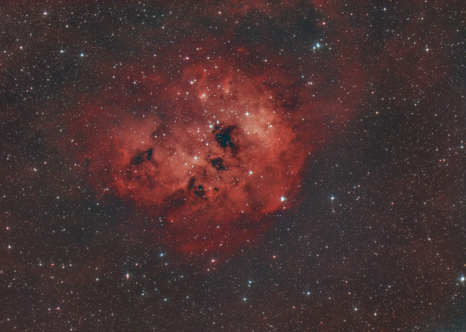 NGC1893