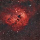 NGC1893