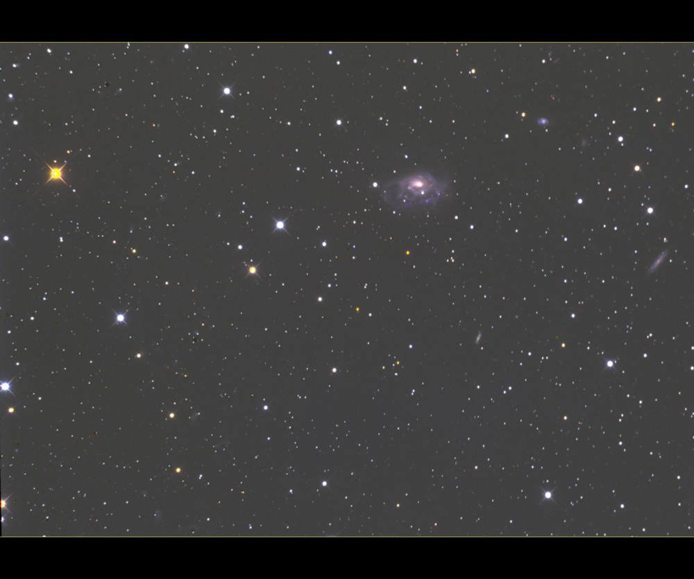 NGC1961