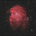 NGC2174 Monkey Head Nebula