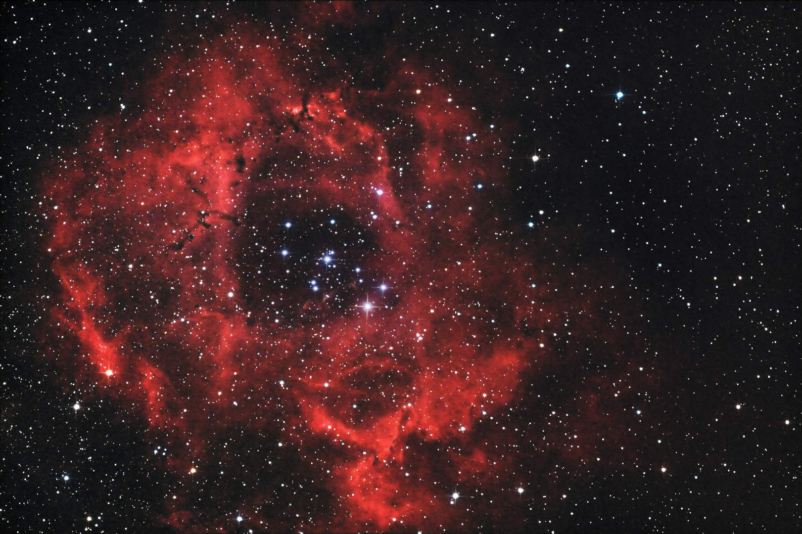 NGC2237 - der Rosettennebel