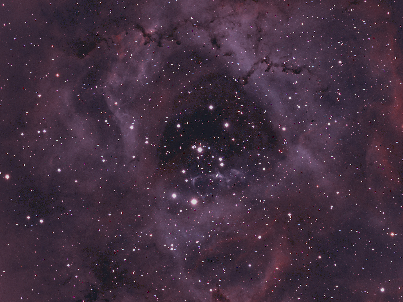 NGC2244