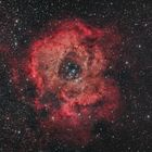 NGC2244 Der Rosettennebel