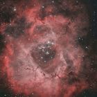 NGC2244-Rosettennebel