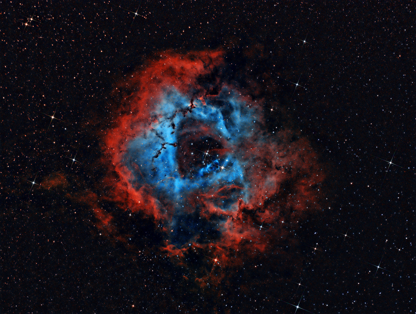 NGC2244 - Rosettennebel