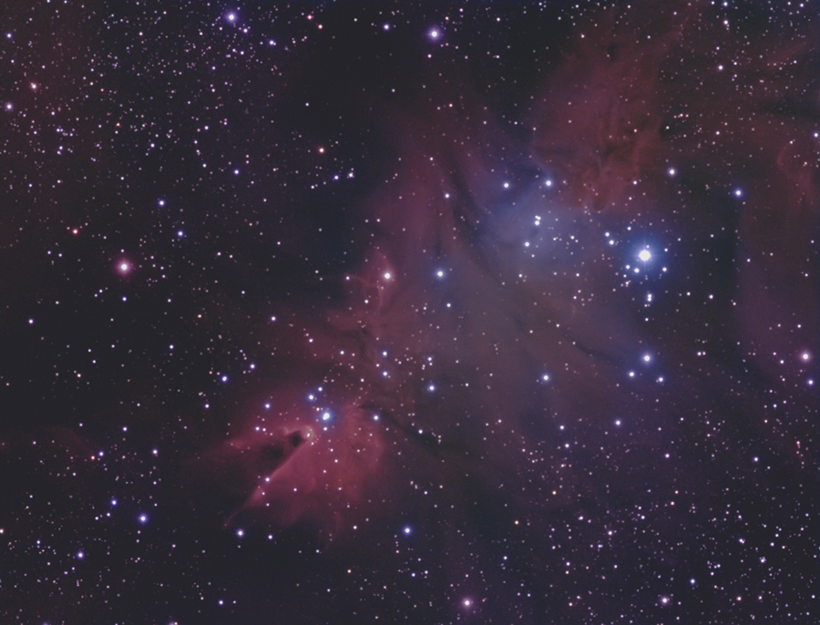 NGC2264