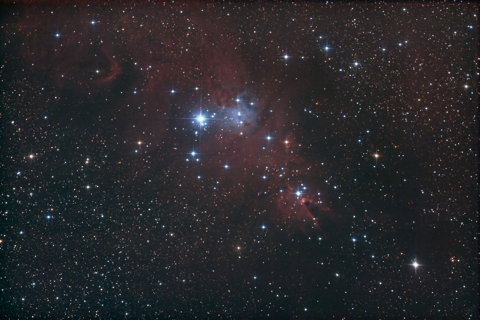 NGC2264 - Christmas Tree