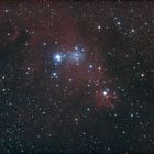 NGC2264 - Christmas Tree