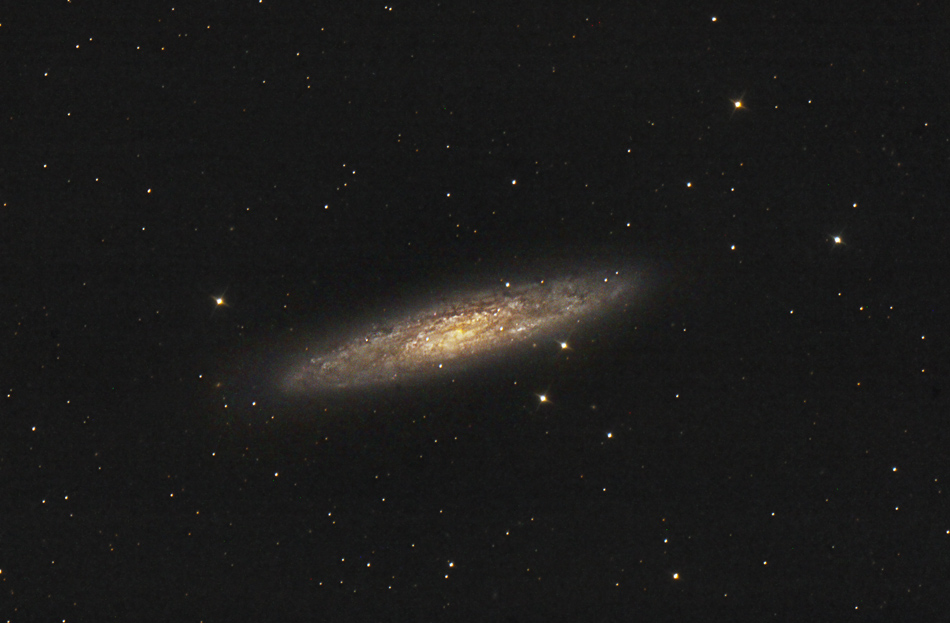 NGC253