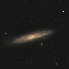 NGC253