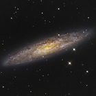 NGC253 Sculptor-Galaxie