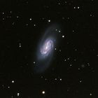 NGC2903 im Sternbild Löwe