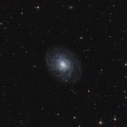 NGC3486