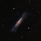 NGC3628