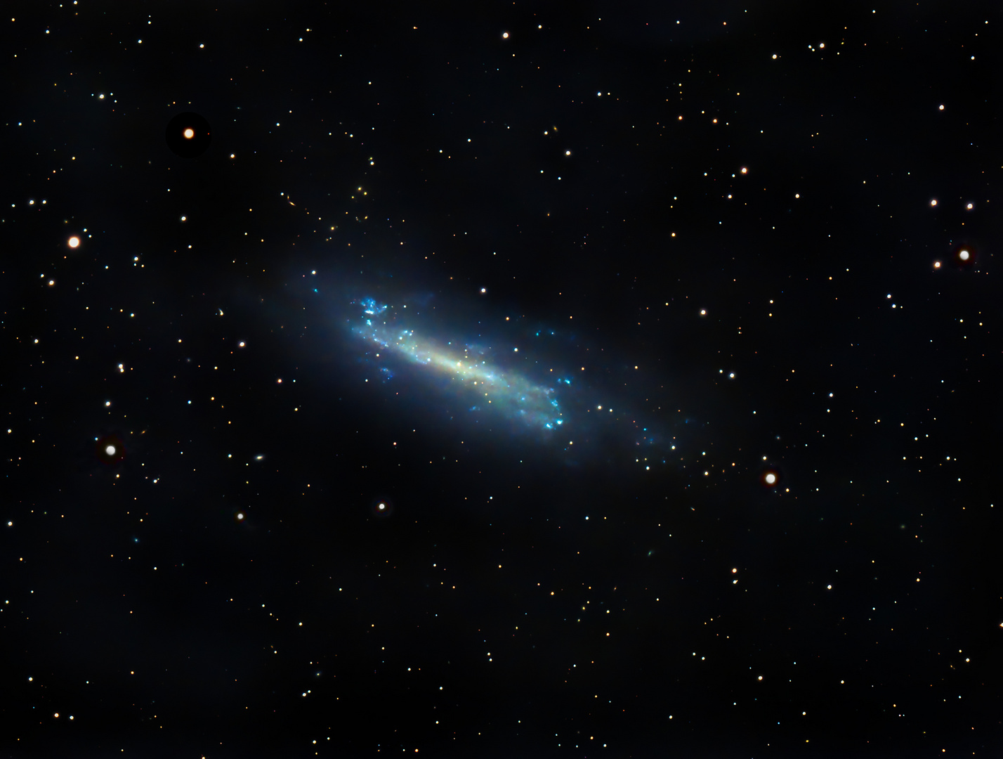NGC4236 - Die Draco Galaxie