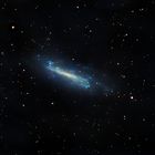 NGC4236 - Die Draco Galaxie