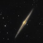 NGC4565