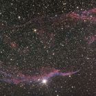 NGC6960 der Westteil des Cirrusnebel (Sturmvogel) mit Pickering's Triangle