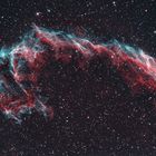 NGC6995 Schleiernebel Ost