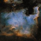 NGC7000