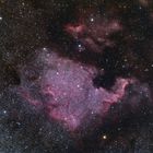 NGC7000