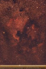 NGC7000 - IC5070