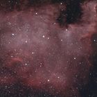NGC7000 (Nordamerika-Nebel)