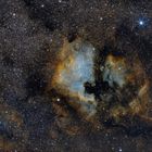 NGC7000 / Sternbild Schwan