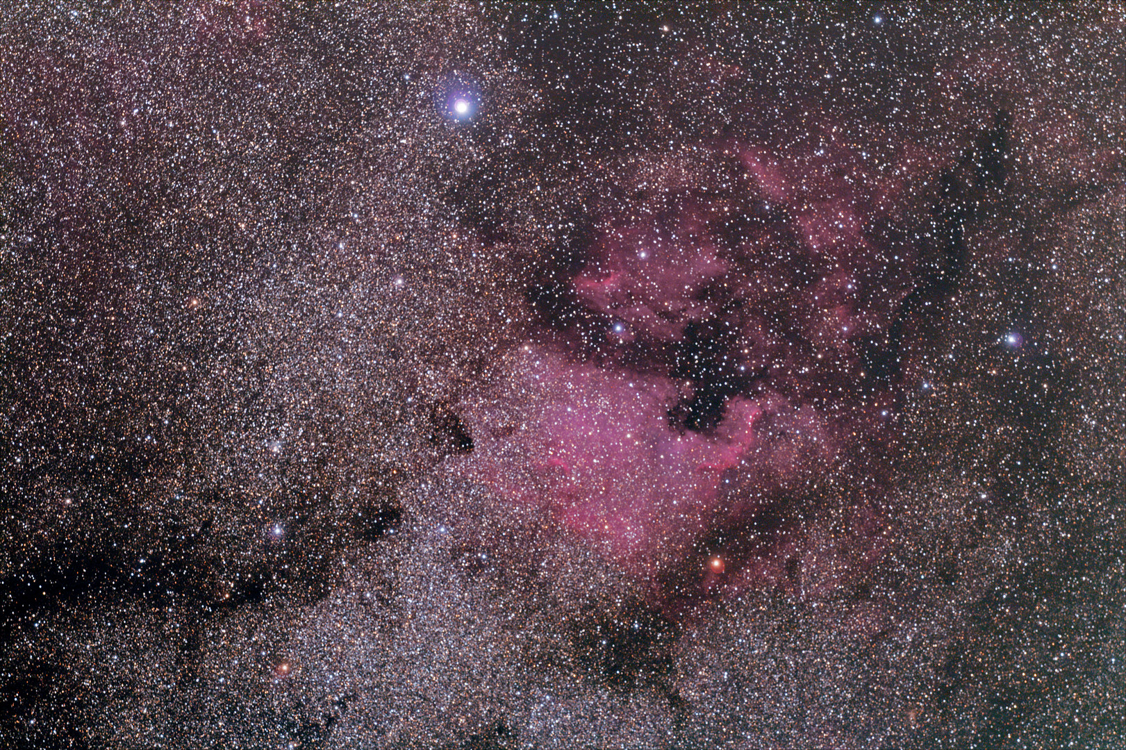 NGC7000 und Pelikannebel