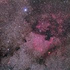 NGC7000 und Pelikannebel