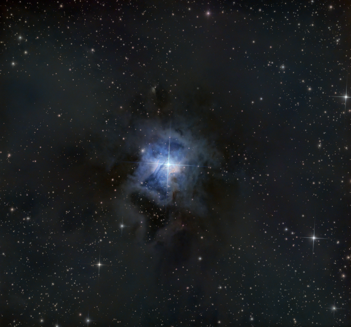 NGC7023 (Irisnebel)